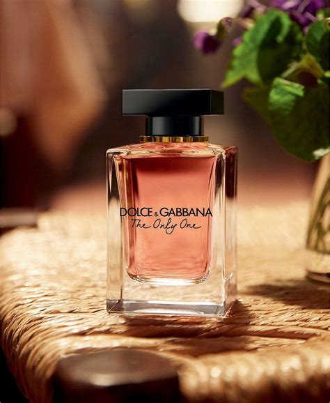 dolce gabbana perfume review